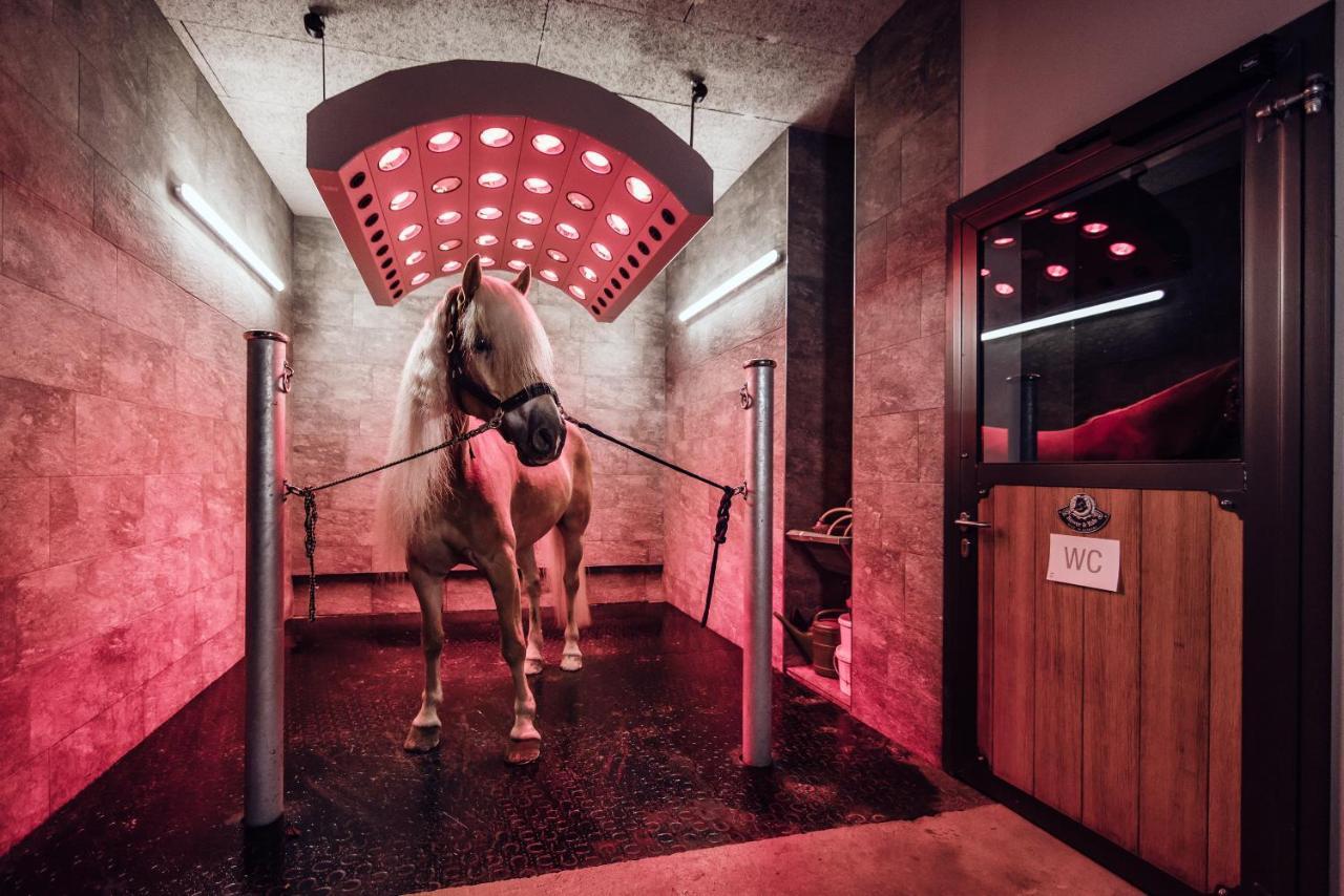 Familienresort Ellmauhof ザールバッハ・ヒンターグレム エクステリア 写真
