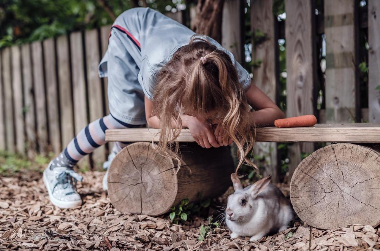 Familienresort Ellmauhof ザールバッハ・ヒンターグレム エクステリア 写真